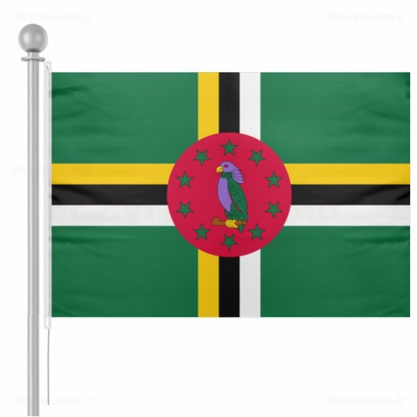 Dominika Bayrak Dominika Bayra