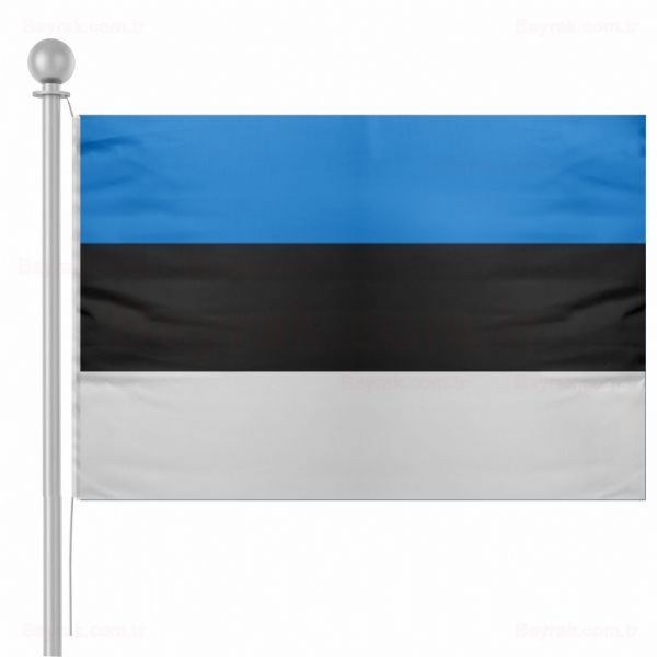 Estonya Bayrak Estonya Bayra