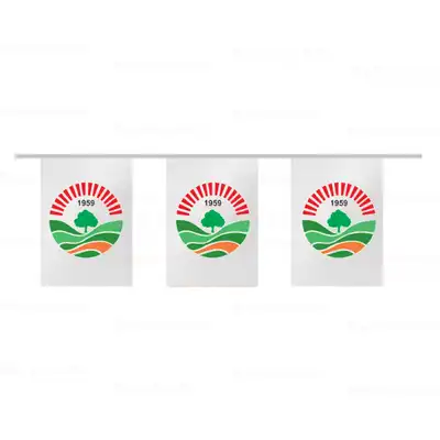 Kofaz Belediyesi pe Dizili Bayraklar