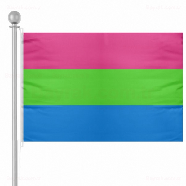 Polysexuality Pride Bayrak Polysexuality Pride Bayra